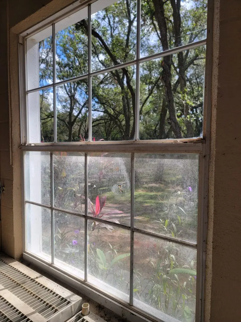 window cleaning in Clearwater Florida