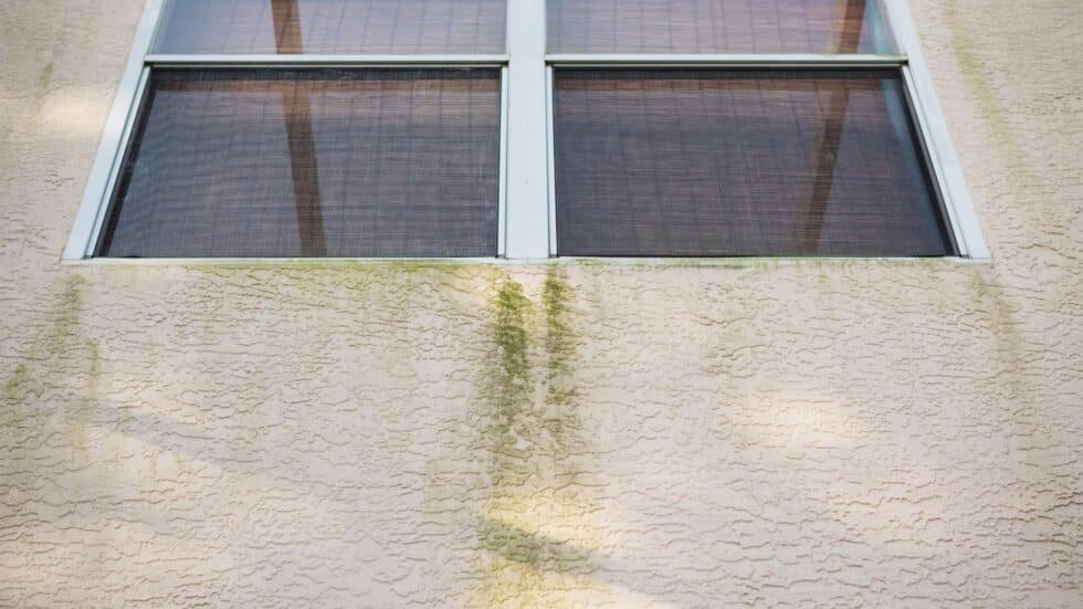 Can You Power Wash Stucco? Window Cleaning & Pressure Washing