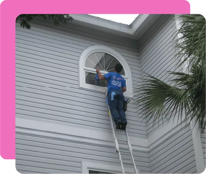 Professional Performing Window Cleaning In Florida