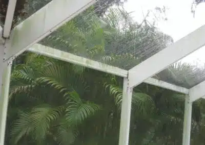 A view of the trees from underneath an awning.