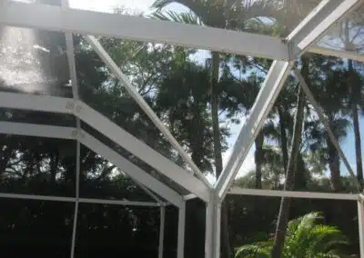 A view of trees from inside the house.