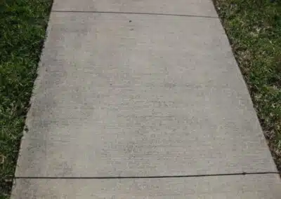 A sidewalk with some grass growing on it