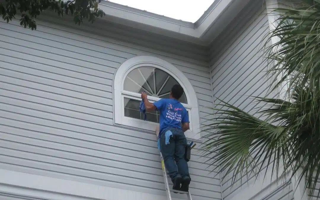 Expert Window Washing By A Professional Cleaner