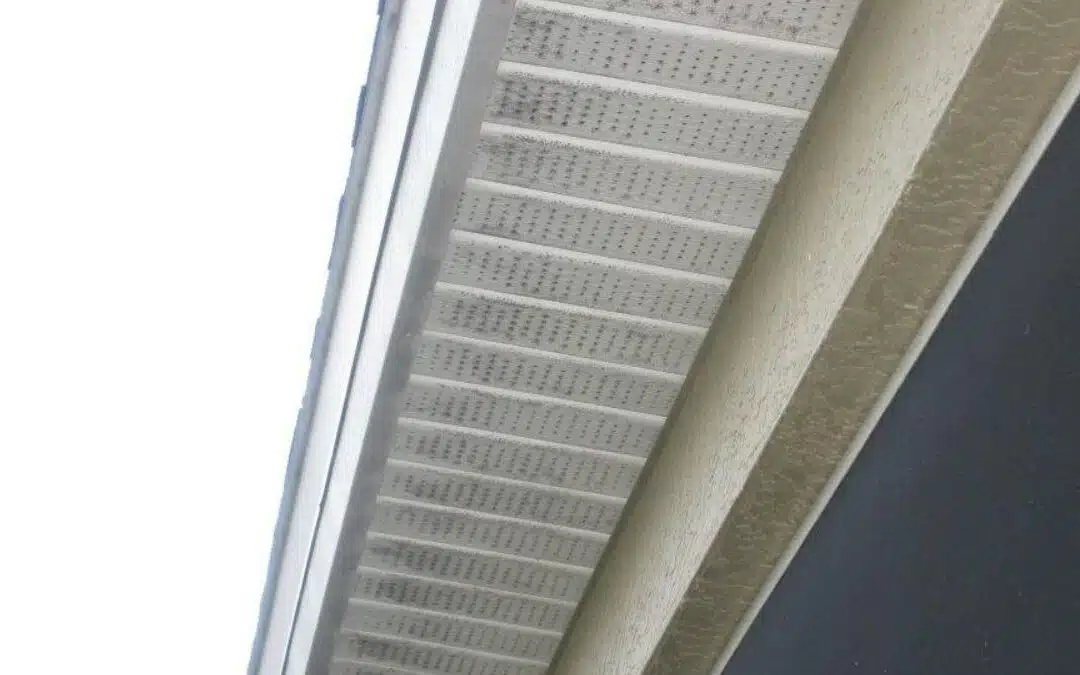 Will Power Washing Remove Mildew?