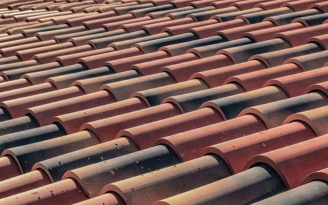 The Top 6 Reasons to Prioritize Roof Cleaning and Maintenance