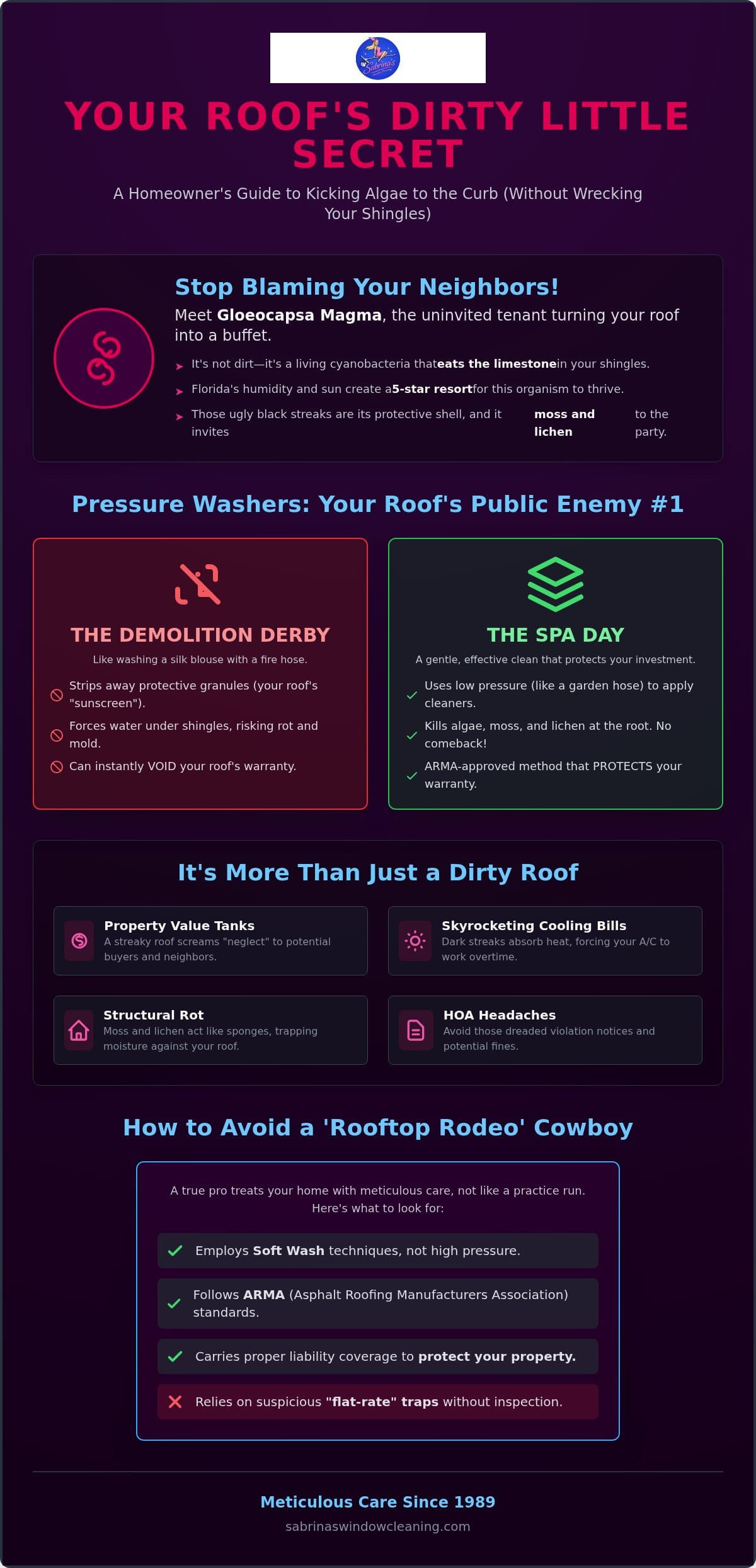 Infographic about soft roof cleaning benefits