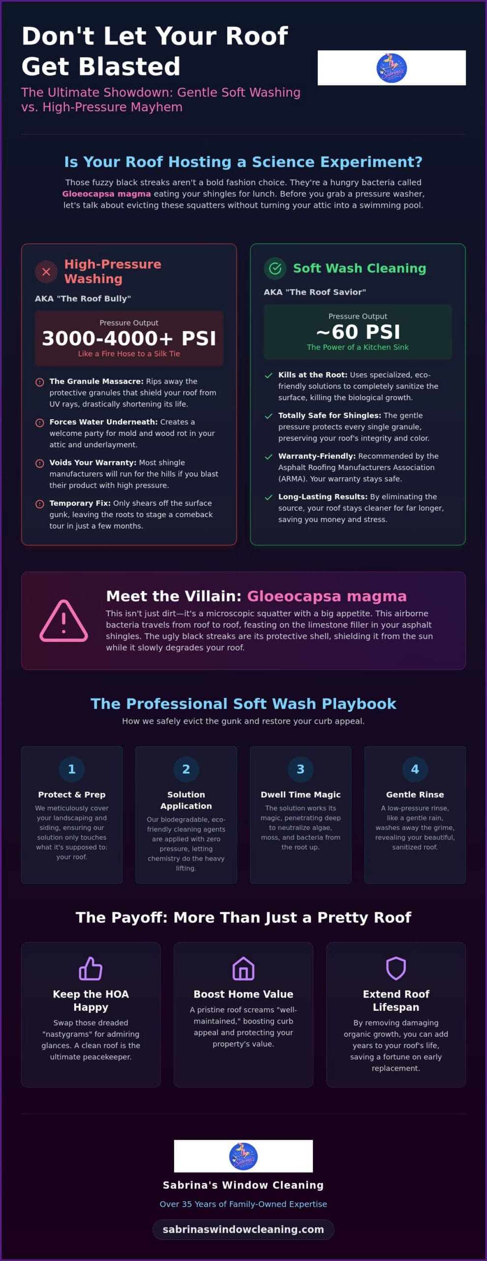 Soft wash roofing infographic highlighting benefits